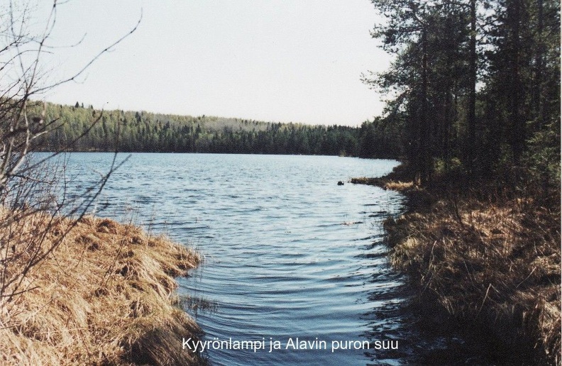 Kyyrönlampi ja Alavin puron suu valkovuokkomatkalla 1996 IMG_0006.jpg