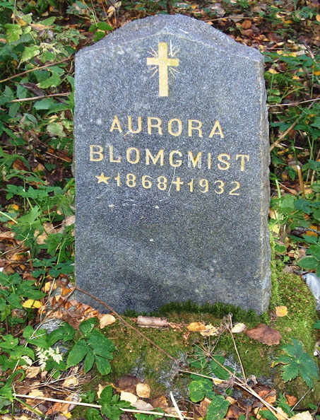 Aurora Blomgvist.jpg