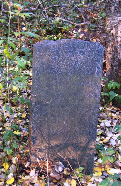 Nimetön.jpg