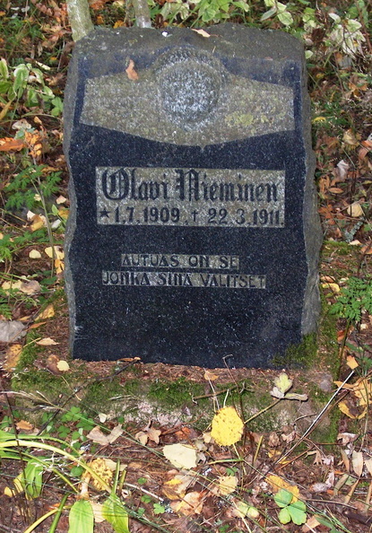 Olavi Nieminen.jpg