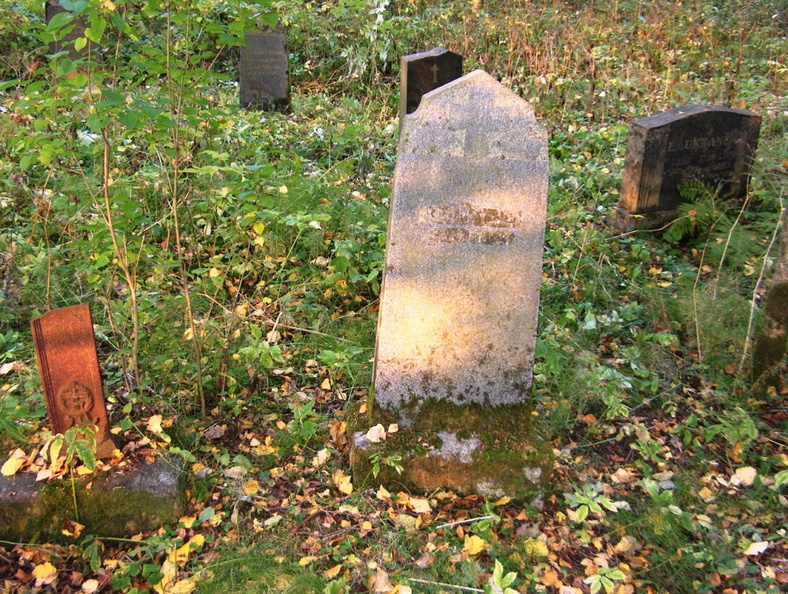 Useita kiviä.jpg