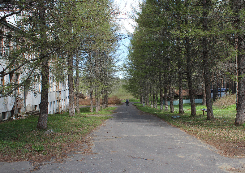 Pälksaari 3.png
