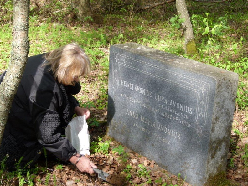 palkj (15).jpg