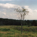 Kivelä, aitan paikka kiveyksen päällä, taustalla Jänisjärvi v. 1990