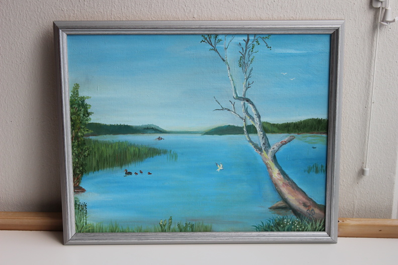 Pälkjärvi RO (1).JPG